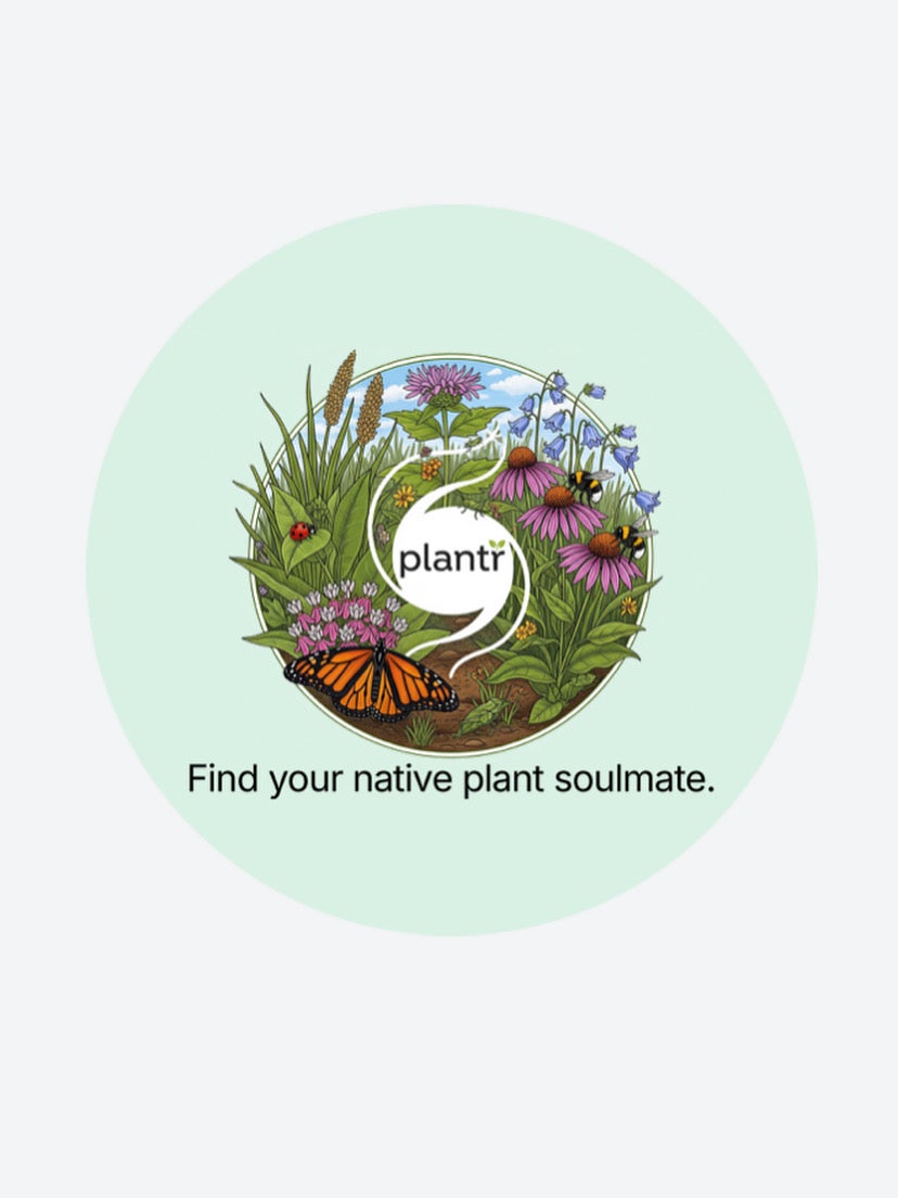 Home | Biodiversity Nursery